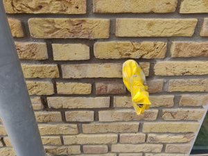 IMG_20190507_161713.jpg