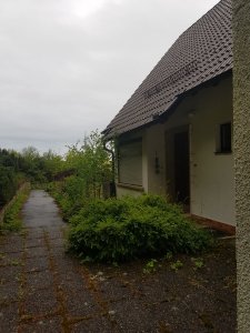 20190509_190711.jpg
