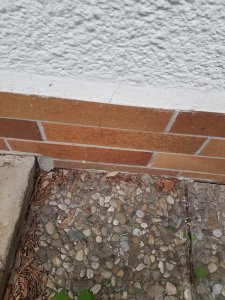 20190509_190948.jpg