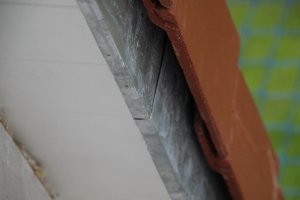 IMG_3657.JPG