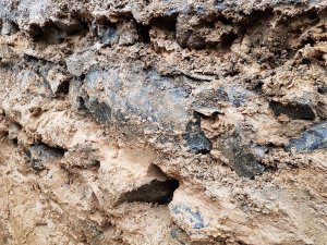 20190519_194805(0).jpg
