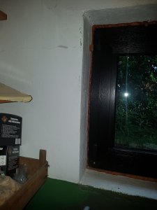 20190520_175439.jpg