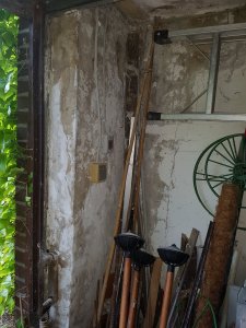 20190520_174345.jpg