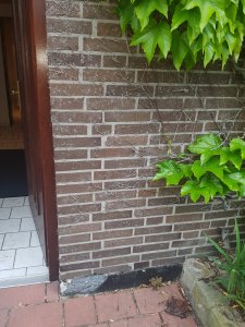 20190520_175149.jpg