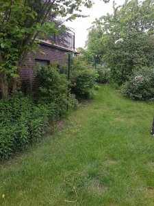 20190520_174510.jpg