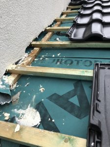 Foto 22.05.19, 06 27 47.jpg