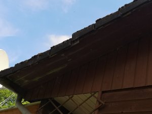 IMG_20190525_134349.jpg
