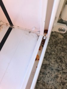 Fenster_Schlafzimmer_Rost2.jpeg
