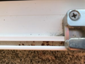 Fenster_Kinderzimmer1_Rost1.jpeg