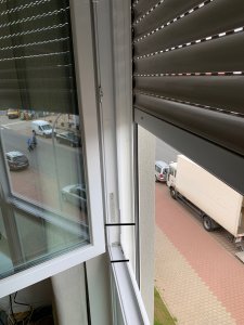 IMG_0982.jpeg