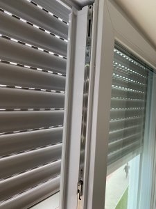 IMG_0984.jpeg