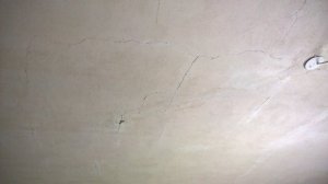 WP_20190606_16_06_43_Pro.jpg