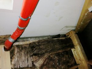 IMG_2285.JPG