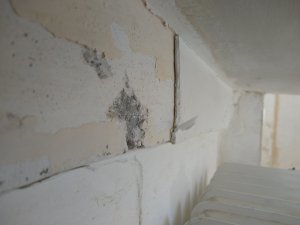 Niesche aufgeschlagen - Fensterbank sichtbar.jpg