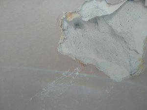 Ohne Niesche aufgeschlagen 2.jpg