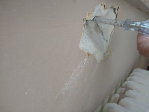 Ohne Niesche aufgeschlagen.jpg