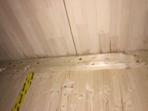 DD75FD1D-44D1-46E0-8C1B-3CB1C5F07C30.jpeg