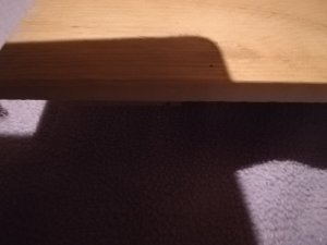 IMG_20190610_223101.jpg