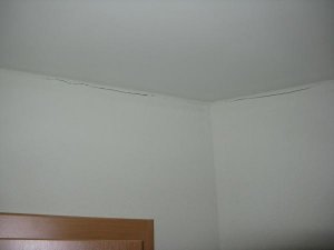 IMG_0021.jpg