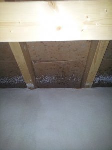 IMG_20130124_080359.jpg
