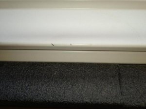 IMG_1060.jpg