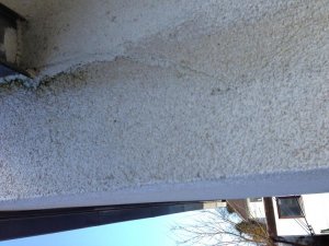 Foto 3.jpg