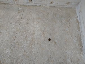 IMG_20190619_163707877.jpg