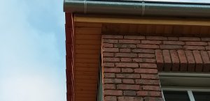 20190627_211757.jpg