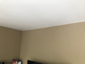IMG_4040.JPG