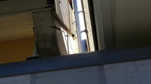 20190629_094518.jpg