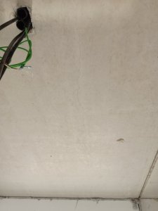 IMG_20190629_171450.jpg