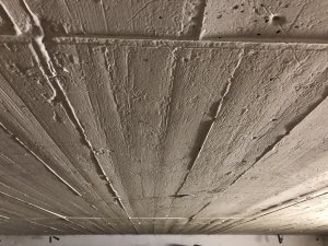 IMG_2159.jpg