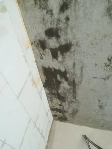 IMG_20190630_202324.jpg