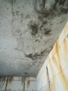 IMG_20190620_085352.jpg