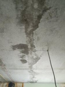 IMG_20190620_085403.jpg