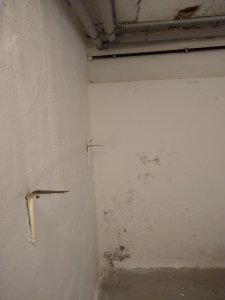2 Feuchte Wand 2.jpg