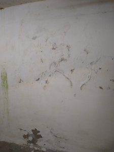 2 Feuchte Wand.jpg