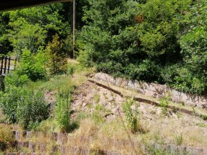 IMG_20190703_142417.jpg