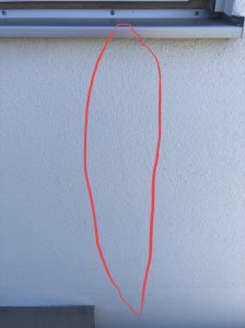 883E676A-433D-4F01-ABA6-46E274164869.jpeg