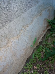 IMG_20190701_200416.jpg