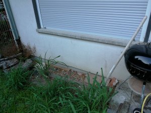 IMG_20190701_201113.jpg