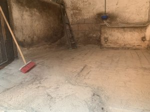 IMG_3735.jpg