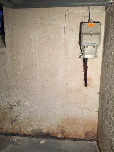 IMG_2995.jpg