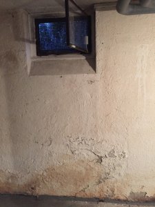 IMG_2996.jpg