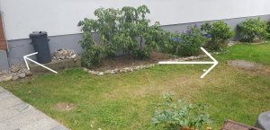 20190709_115444.jpg