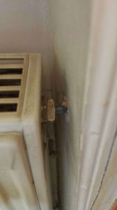 20190709_145623.jpg