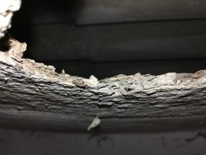 Deckenplatten (1).jpg