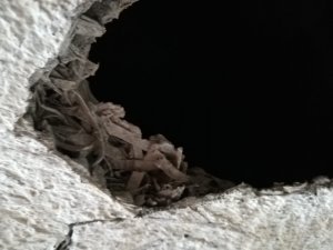 Handelt es sich hier um Asbest?