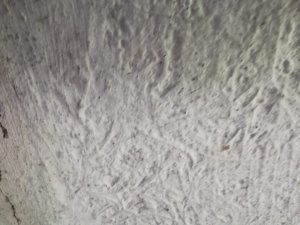 Handelt es sich hier um Asbest?