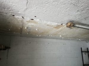 Handelt es sich hier um Asbest?